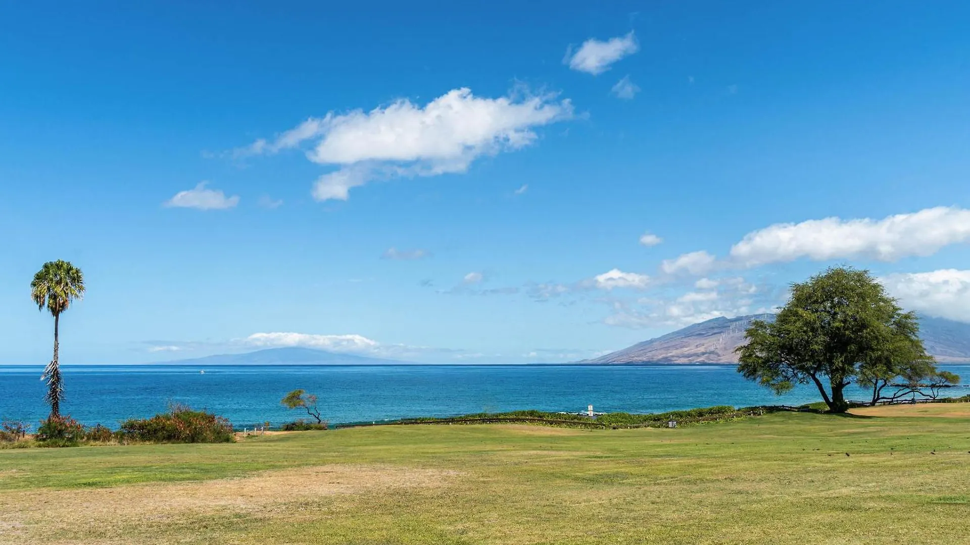 Kihei Akahi D-105 Lejlighed Wailea