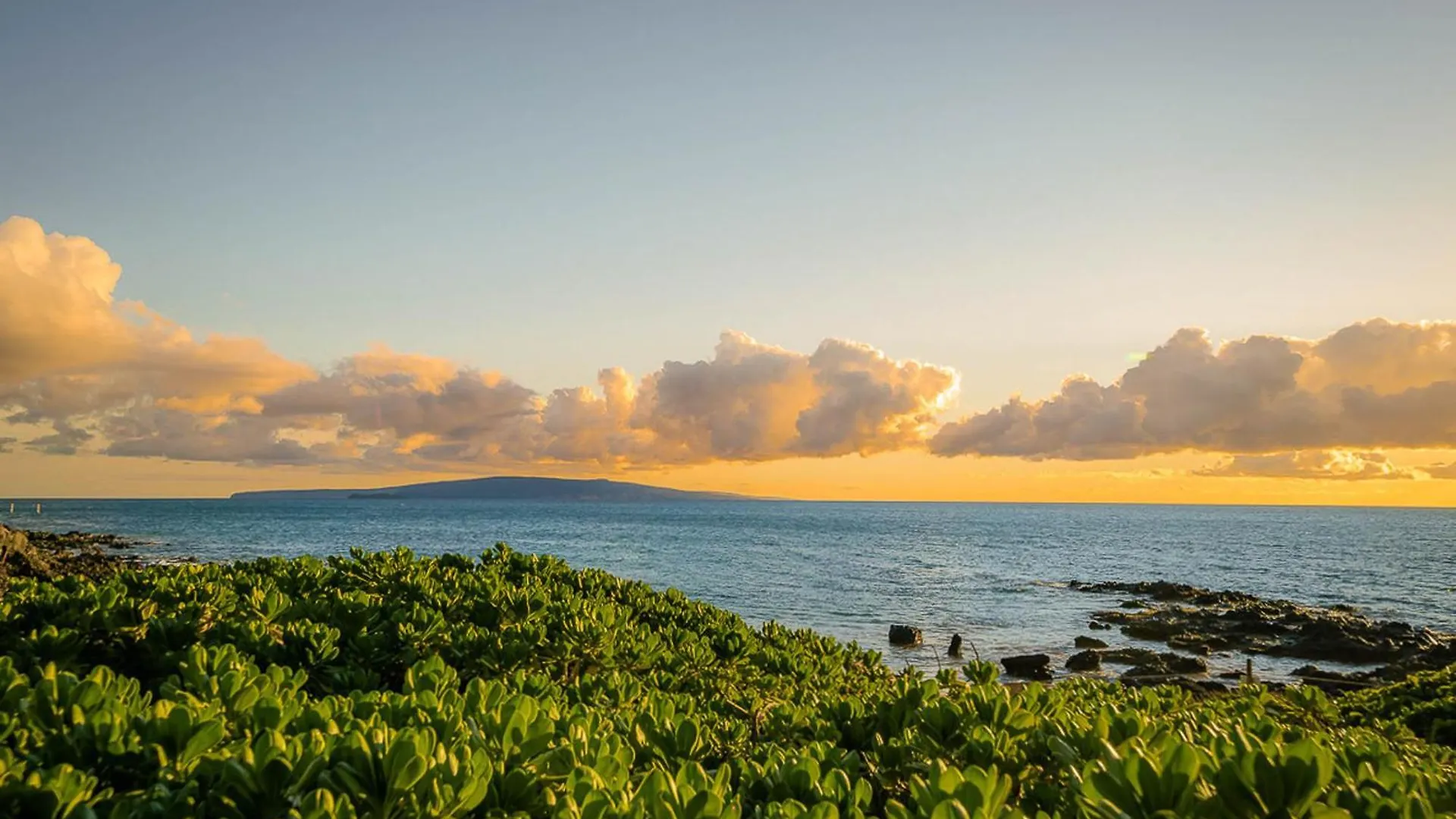 Kihei Akahi D-105 Apartment Wailea  United States